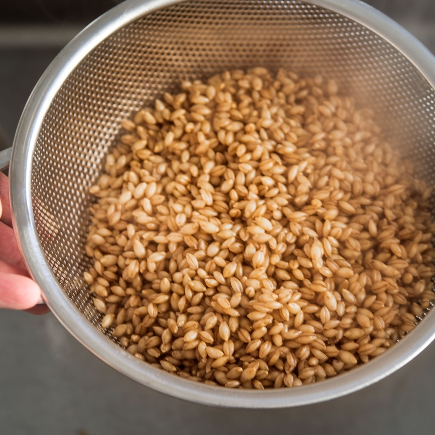drain the wheat berries