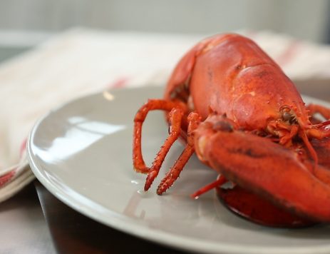 DIY Video Guide: How to Cook Lobster at Home