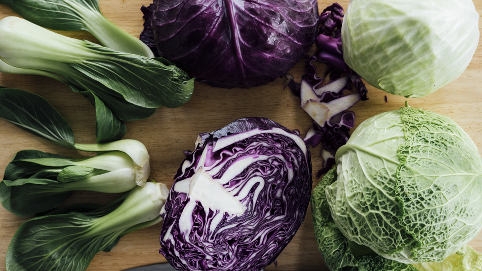 Cabbage 101: Different Types and How to Cook and Enjoy Cabbage